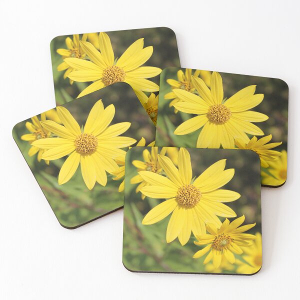 Item preview, Wild sunflowers designed and sold by katelynroseart1.