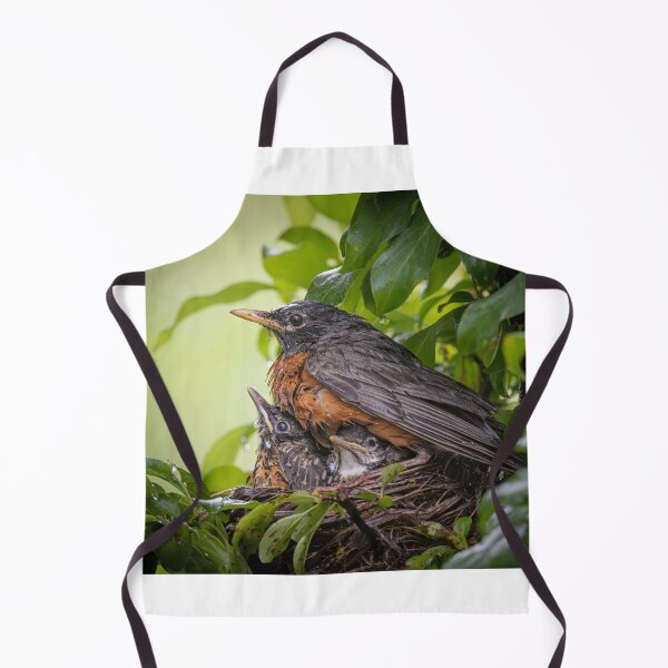 Item preview, American Robin on nest designed and sold by (Tallow) Dave Van de Laar.