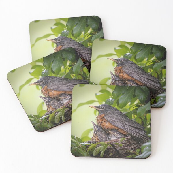 Item preview, American Robin on nest designed and sold by (Tallow) Dave  Van de Laar.
