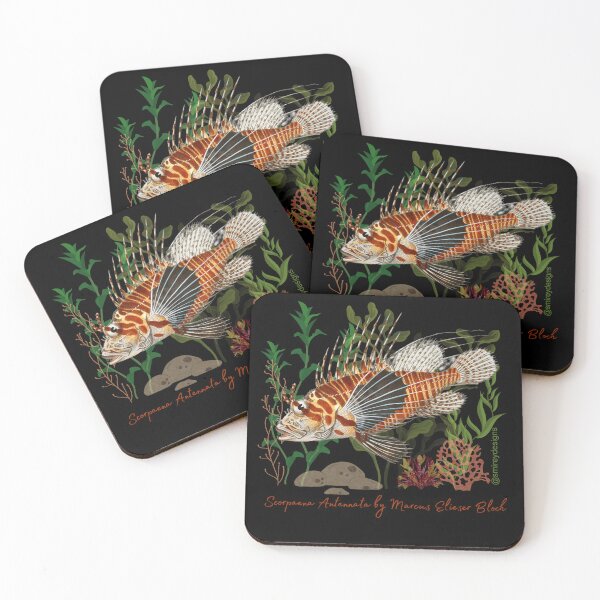 Item preview, Scorpaena Antennata by Marcus Elieser Bloch designed and sold by smirey designs.