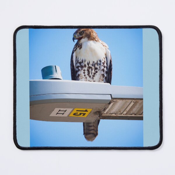 Item preview, Looking into foreign lands designed and sold by Joel Bader.