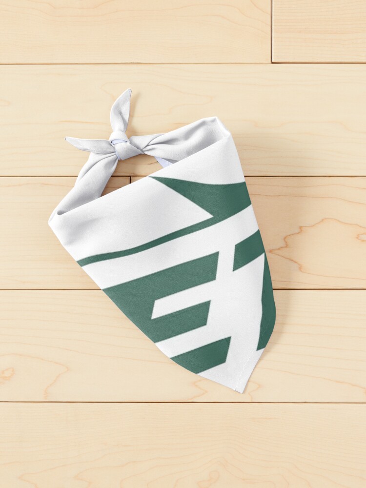 New Jets-City  Pet Bandana for Sale by lulujako