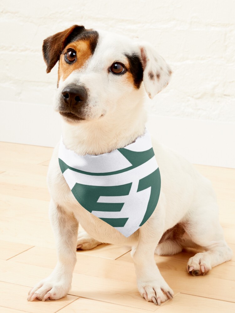 New Jets-City  Pet Bandana for Sale by lulujako