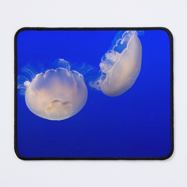 Item preview, Jellyfish  designed and sold by stephip26.