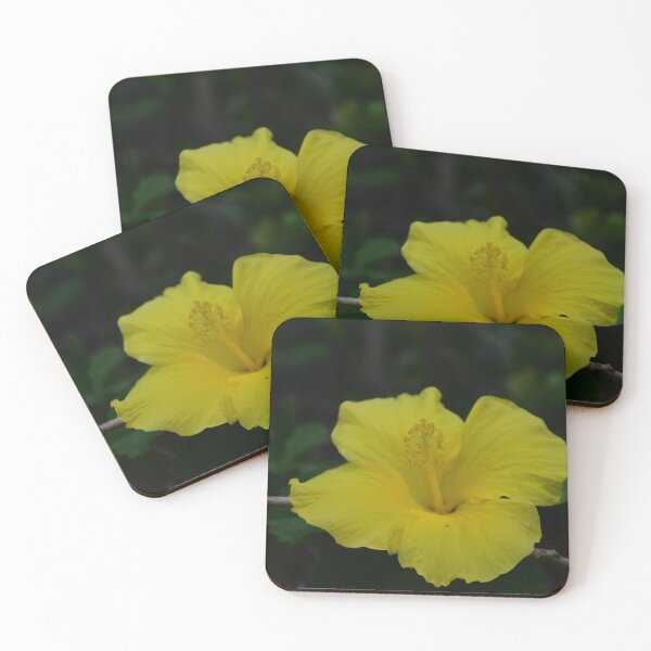 Item preview, Beautiful Yellow Hibiscus Bloom Photograph designed and sold by MercerImages.
