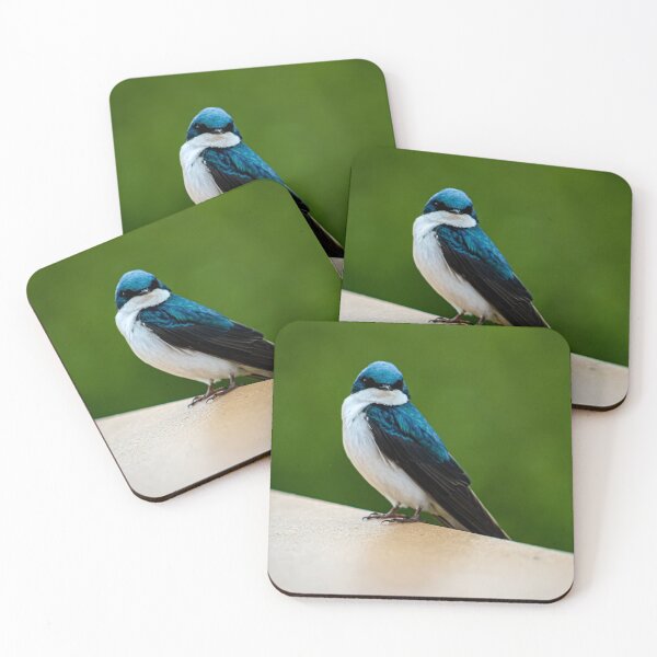 Item preview, Perched Tree Swallow designed and sold by MagicMagpie.