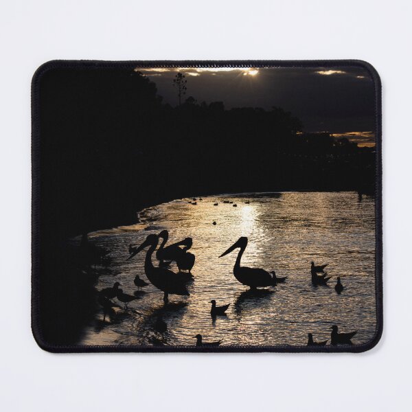 Item preview, Pelicans at Sunset designed and sold by LO-Photography.