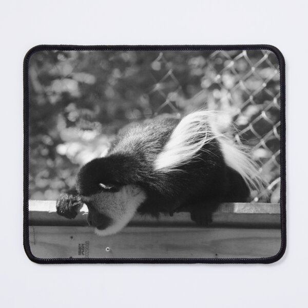 Item preview, Curiousity designed and sold by Maggie Weatherly.