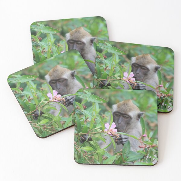 Item preview, Monkey Admiring Nature designed and sold by Duckgirl5450.