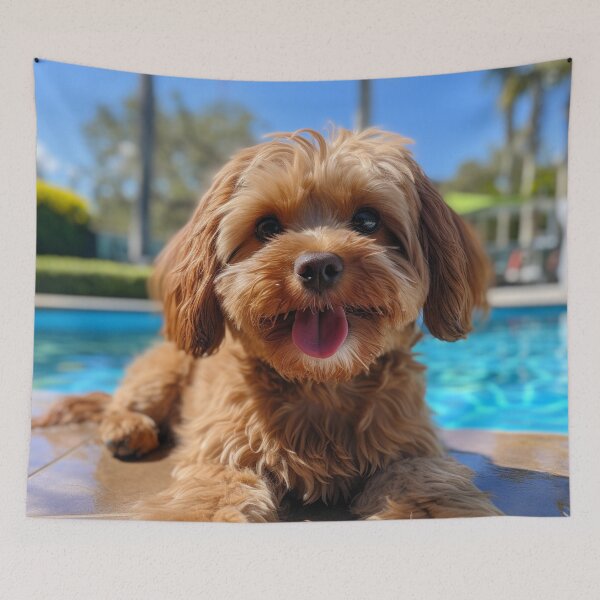 Aperçu de l'œuvre Piscine Cavoodle 2 créée et vendue par Creative Shed Designs.