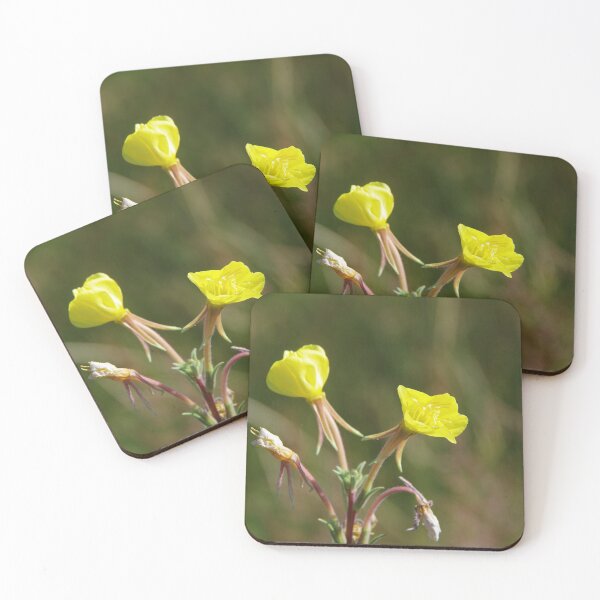 Item preview, Hairy Primrose designed and sold by The Botanical Jason.
