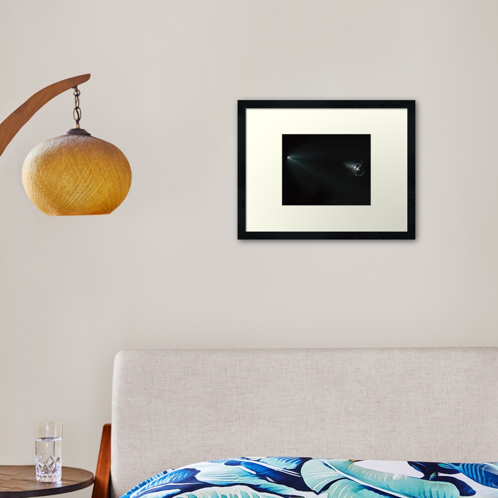 SpaceX Iridium Flight 4 Framed Art Print