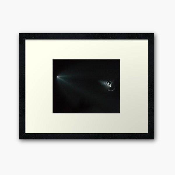 SpaceX Iridium Flight 4 Framed Art Print