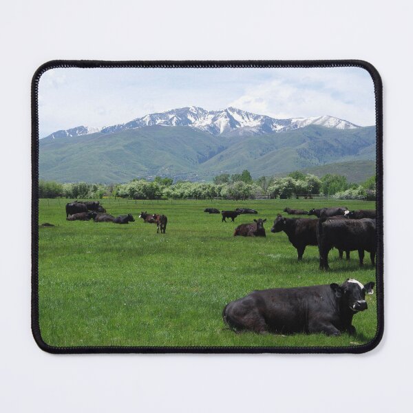 Item preview, Mountain Grazing Angus/Hereford Cattle designed and sold by The Botanical Jason.