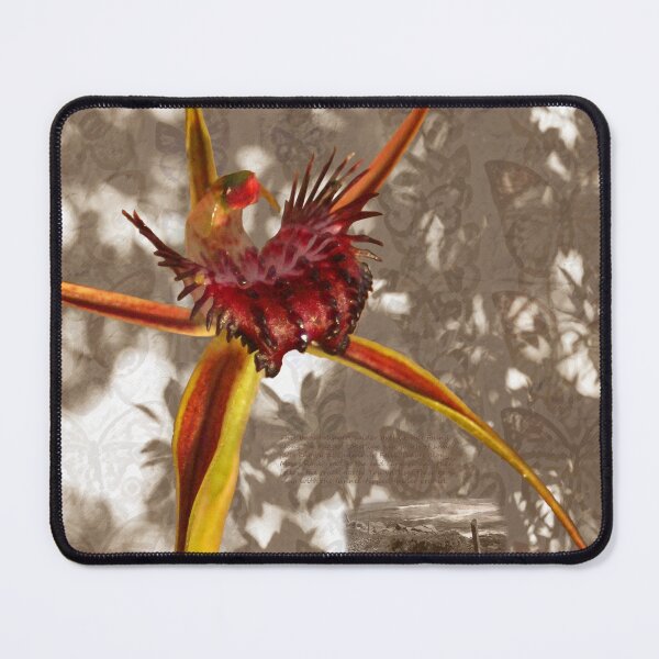 Item preview, Broadlipped Orchid Photographic montage designed and sold by Leonie Mac Lean.