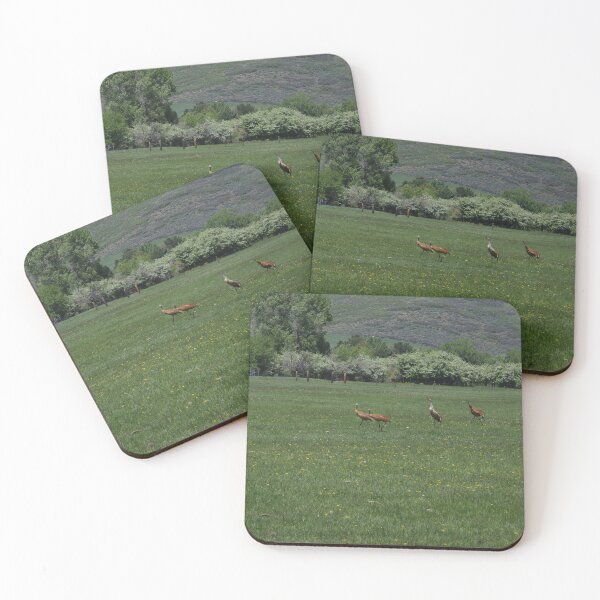 Item preview, A Family of Sandhill Cranes designed and sold by The Botanical Jason.