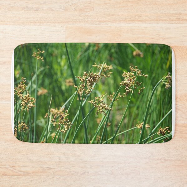 Item preview, Softstem Bulrush in Flower designed and sold by The Botanical Jason.