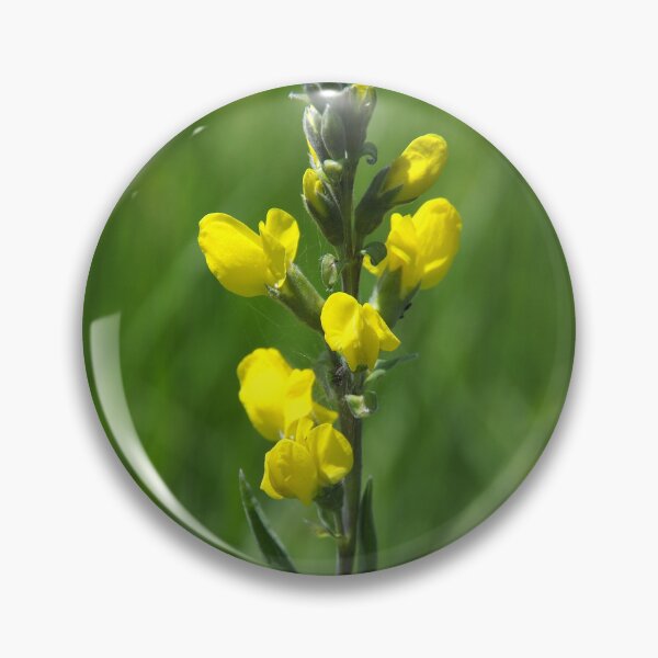 Item preview, Beautiful False Lupine Flowers designed and sold by The Botanical Jason.