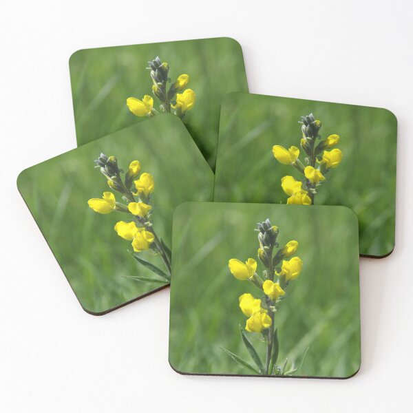 Item preview, Beautiful False Lupine Flowers designed and sold by The Botanical Jason.