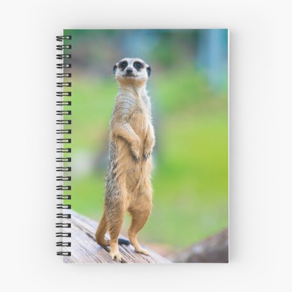 Item preview, Meerkat  designed and sold by Stanciuc.