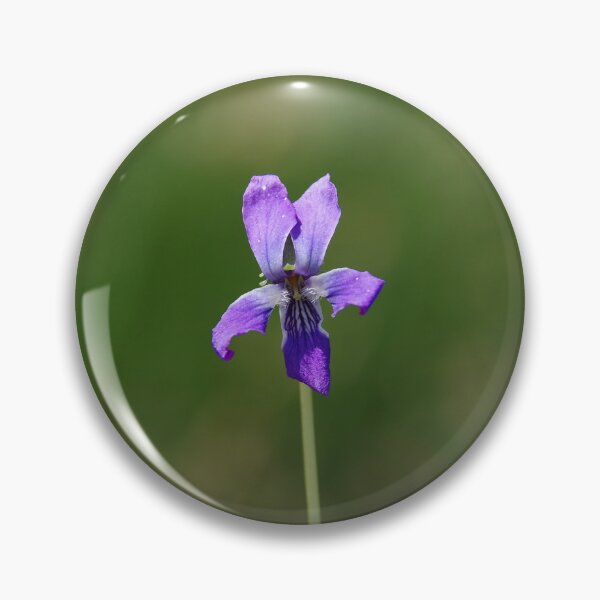 Item preview, Delicate Northern Bog Violet Flower designed and sold by The Botanical Jason.