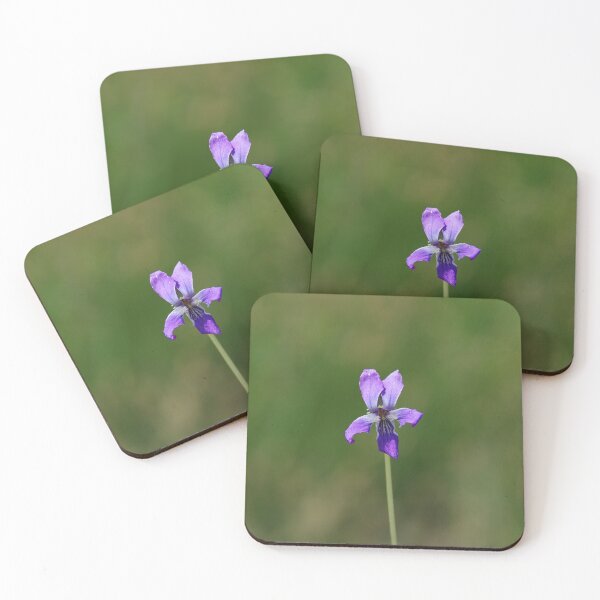 Item preview, Delicate Northern Bog Violet Flower designed and sold by The Botanical Jason.