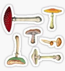 MUSHROOM MEDLEY Sticker