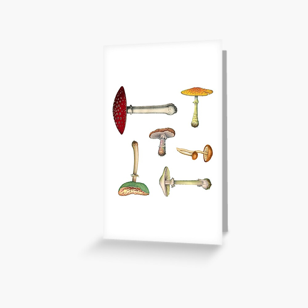 Item preview, Greeting Card designed and sold by elevens.
