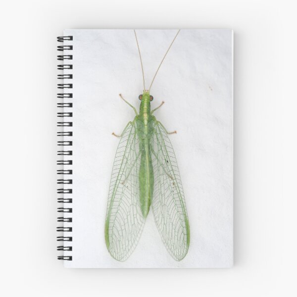 Item preview, Green lacewing designed and sold by SDym Photography.