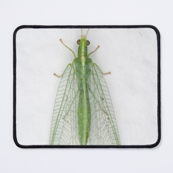 Item preview, Green lacewing designed and sold by SDym Photography.