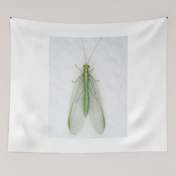 Item preview, Green lacewing designed and sold by SDym Photography.
