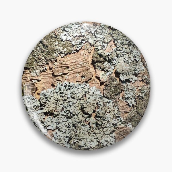 Item preview, Tree Bark designed and sold by Naturesquares.