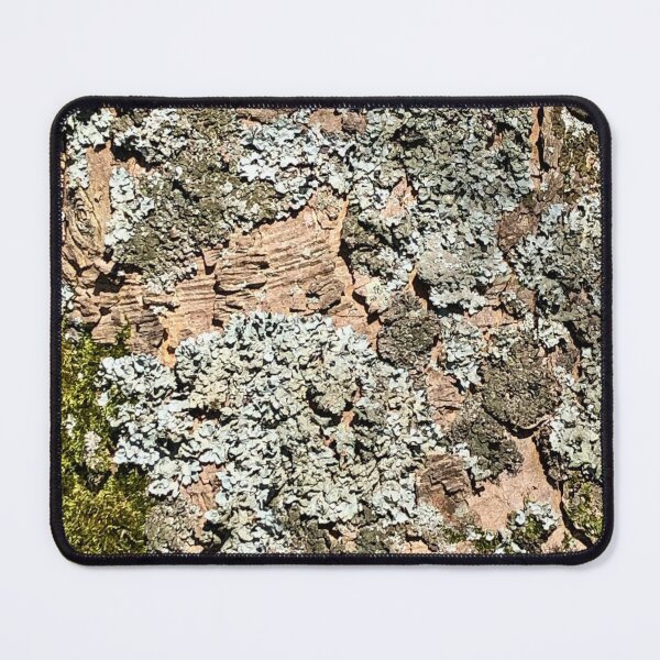 Item preview, Tree Bark designed and sold by Naturesquares.