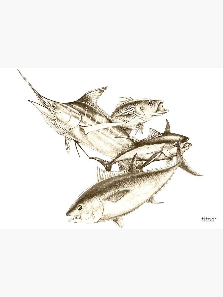 Saltwater fish | Art Board Print