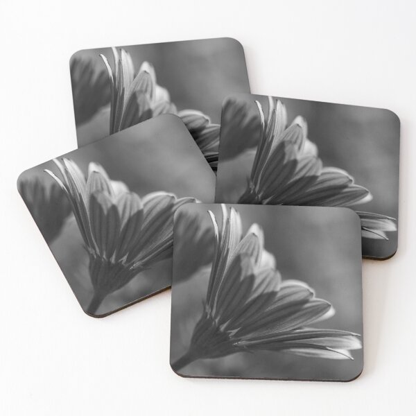 Item preview, Bloom designed and sold by LO-Photography.