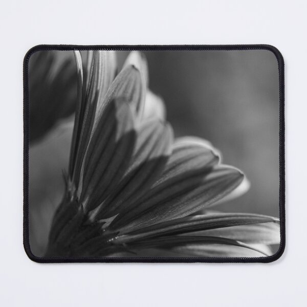 Item preview, Bloom designed and sold by LO-Photography.