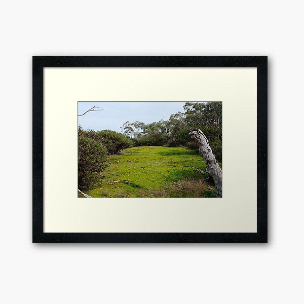Item preview, Hidden Bush Picnic Area With Green Grass designed and sold by RobbieAlex.