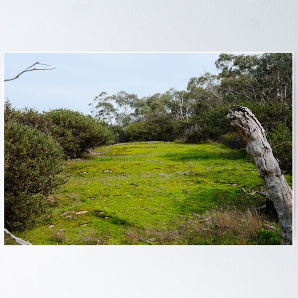 Item preview, Hidden Bush Picnic Area With Green Grass designed and sold by RobbieAlex.