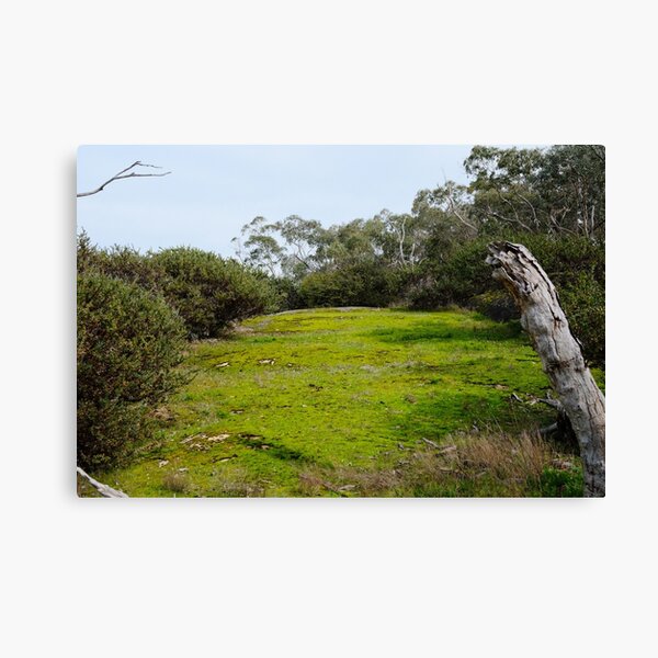 Item preview, Hidden Bush Picnic Area With Green Grass designed and sold by RobbieAlex.