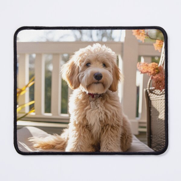 Item preview, Labradoodle on Porch 2 designed and sold by Creative Shed Designs.