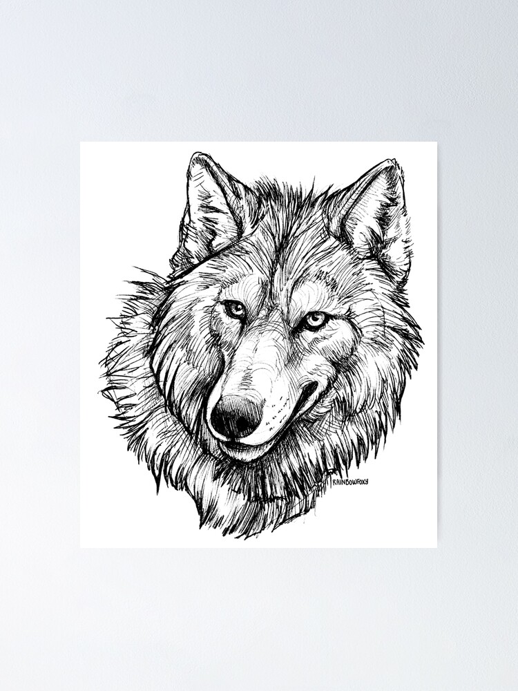 Featured image of post The Best 15 Wolf Headshot Sketch