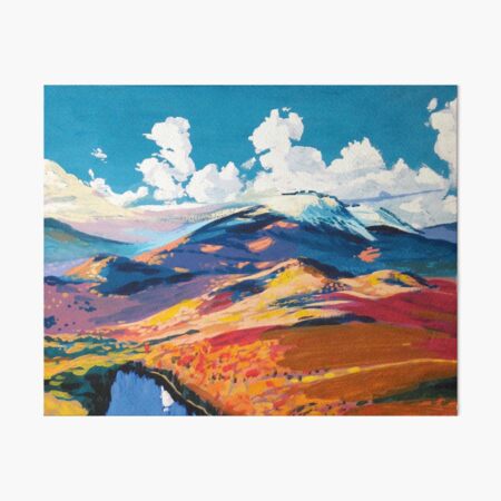 Adirondacks Art Board Print