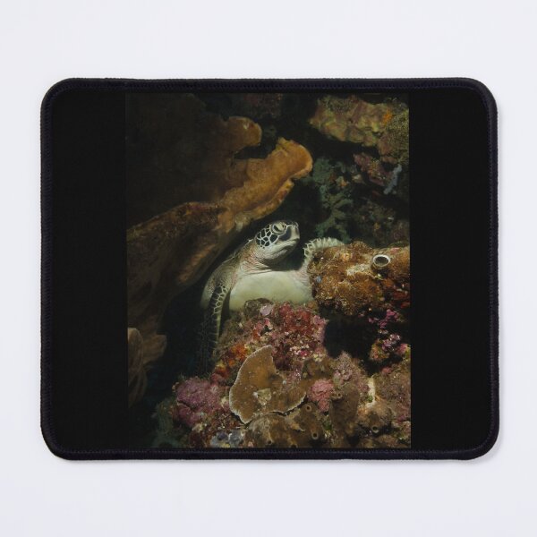 Item preview, A Green Turtle Snoozes on the Reef designed and sold by TawandaCuriel.
