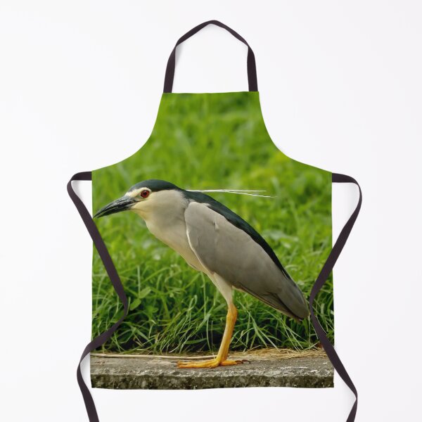 Item preview, Night-heron designed and sold by Guardi71.