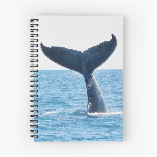 Aperçu de l'œuvre Observation des baleines à queue haute dans la baie d'Hervey créée et vendue par Mark Grimsley.