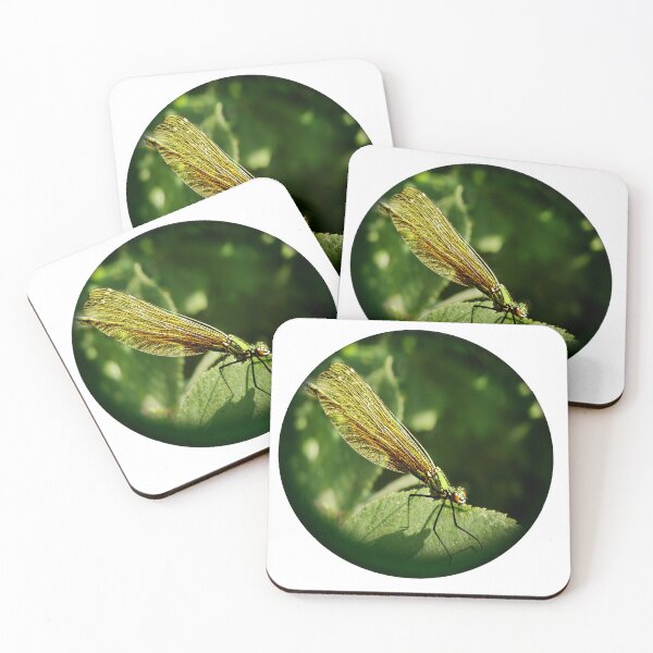 Item preview, A female "Beautiful Demoiselle" (Calopteryx virgo) damselfly on a leaf. designed and sold by Robin3DT.
