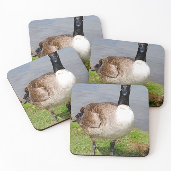 Item preview, Canada Goose Canadian Geese Wild Bird designed and sold by AndyEvansPhotos.