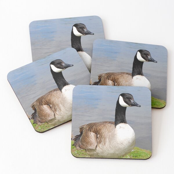 Item preview, Canada Goose Canadian Geese Wild Bird designed and sold by AndyEvansPhotos.