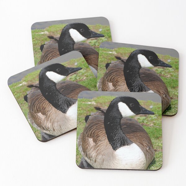 Item preview, Canada Goose Canadian Geese Wild Bird designed and sold by AndyEvansPhotos.