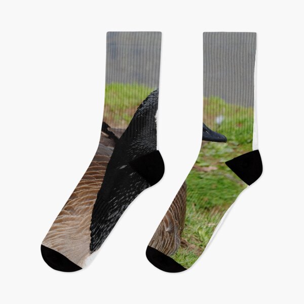 Item preview, Canada Goose Canadian Geese Wild Bird designed and sold by AndyEvansPhotos.